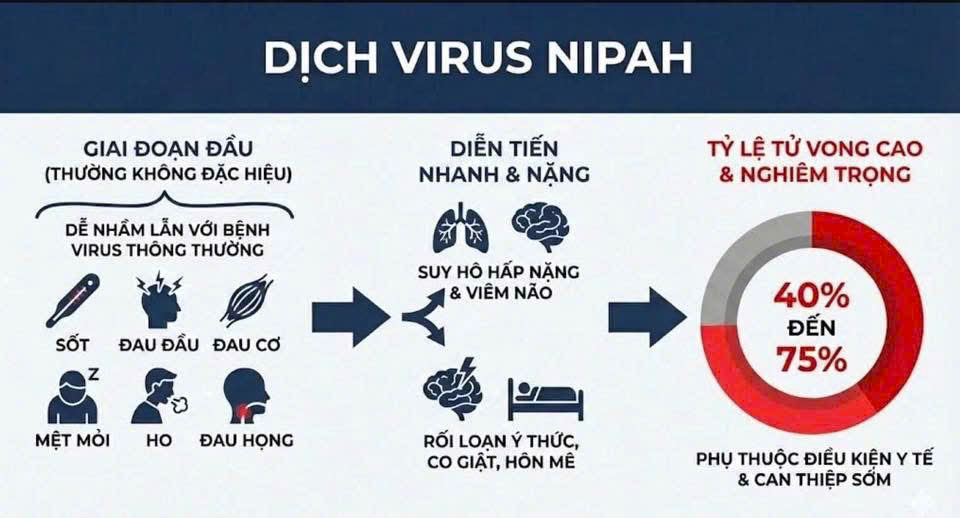 Bệnh viện Công an thành phố Hải Phòng: Thông tin về dịch bệnh do vi rút Nipah
